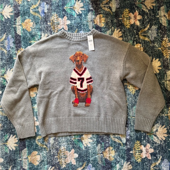 Porridge Sweaters - NWT Porridge Anthropologie Gray Sports Dog Graphic Sweater
